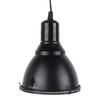 5.5in Reptile Lamp Fixture Uniform Heating Professional Shallow Dome Lamp