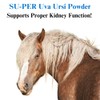 SU-PER Uva Ursi Supplement for Horses - Supports Proper and