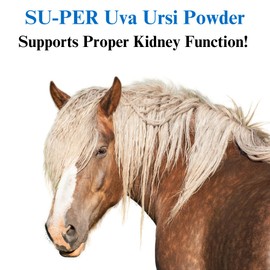 SU-PER Uva Ursi Supplement for Horses - Supports Proper and Active Kidney Function & Healthy Urinary Tract - 4 Pound, (2 Pack)