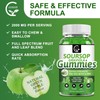 GORNVB (2 Pack) Soursop Graviola Gummies - 2200mg Extra Strength