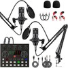 Podcast Equipment Bundle for 2 People, Studio Condenser Microphone, Voice