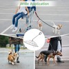 Dog Umbrella with Chain Leash, Puppy Umbrella for Rain Snow