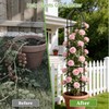 Kelived Garden Obelisk Trellis for Climbing Plants Adjustable, Rustproof Plastic