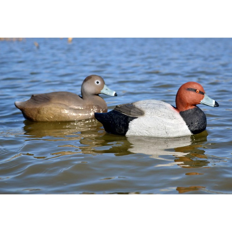 Higdon Outdoors Battleship Red Head Duck Decoys | Unsinkable with