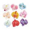 Colcolo 9 Tropical Orchid Hair Accessories, Butterfly Flower Clips for
