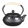 YJX 27oz Small Cast Iron Teapot for Stovetop, Japanese Tetsubin