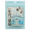 gibuandogibu akua・ra・pyua Sheet Mask (5 Pieces)