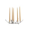 Napa Home & Garden Teton 5-Candle Candleholder