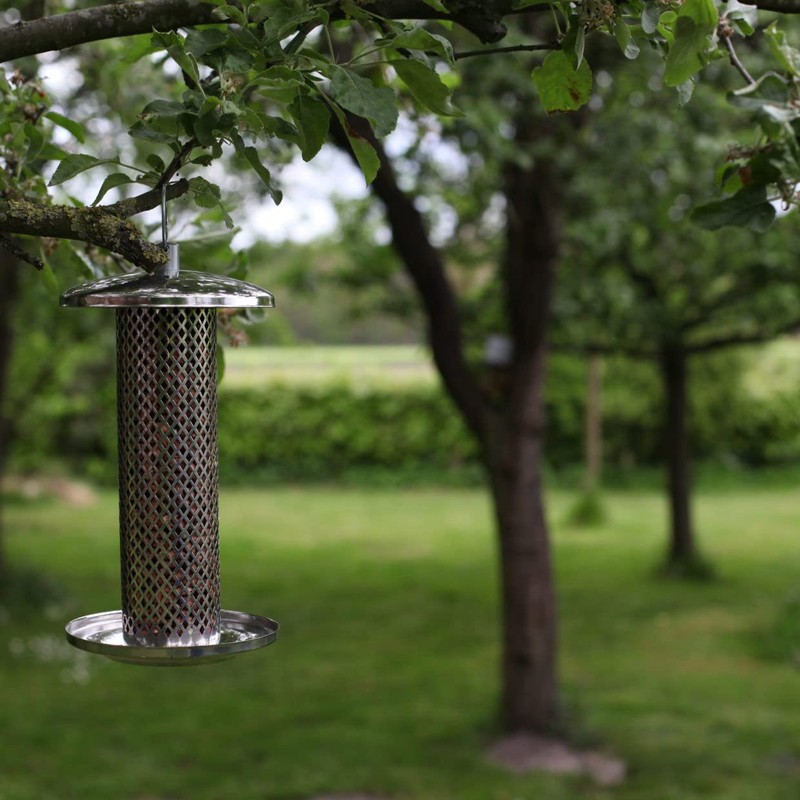 Fallen Fruits Ltd FB394 STAINLESS STEEL NUT FEEDER Bird, Silver,