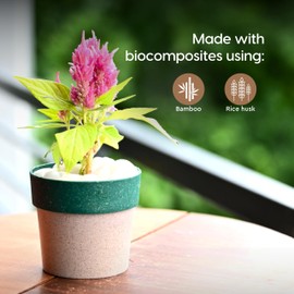 Eha Earth Friendly Ecopod Small Pots for Plant | 4 Inch, Set of 2 | Table Top Planters | Bamboo Based and UV Protected | Pots for Indoor Plants for Home Decor, Outdoor, Balcony & Garden | Fern