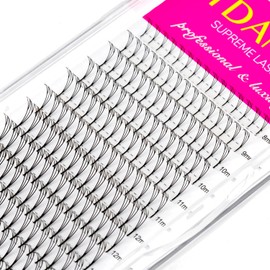 TDANCE Premade Anime Fairy Lash Extensions for Professional Lash Artists - Plume Flake Lash Extensions, High-Volume Fans, Lightweight, Durable, Easy to Apply, Perfect for Salon Use (0.07-C,8-15mm)