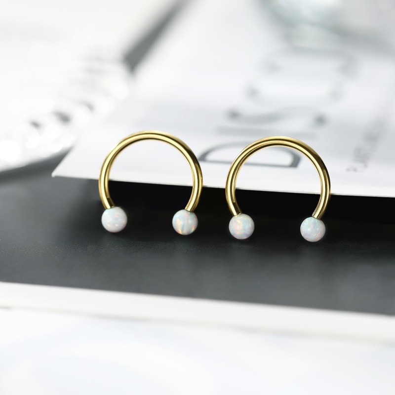 PEAKLINK Horseshoe Nose Ring Titanium Septum Jewelry 16G Horseshoe Lip