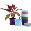 MUETKNYE 10 Pcs Plastic Planters Indoor Pots, Mini Flower Seedlings