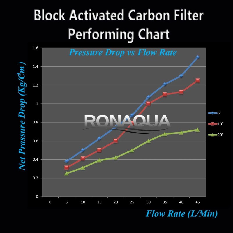 Ronaqua 4 pcs Big Blue CTO Carbon Block Water Filters