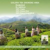 TIAN HU SHAN Culinary Grade Matcha Green Tea Powder 100g