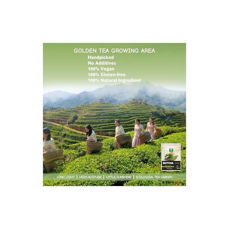 TIAN HU SHAN Culinary Grade Matcha Green Tea Powder 100g