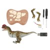 Remote Control Dinosaur Model 2.4G Realistic Walking Roaring Educational RC