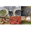 NURI Portuguese Sardines in Spiced Tomato Sauce - 8 Pack