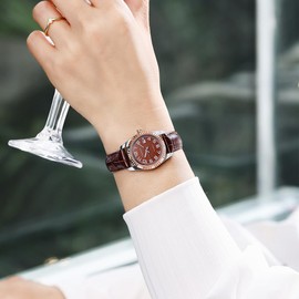 VXFAIZY Women's Classic Easy Read Time Watch Calendar Watch for Women Water Resistant (Brown Silver-Rosegold)