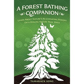 A Forest Bathing Companion: Learn About Nature's Rejuvenating Powers On a Healing Nature Trail Walk