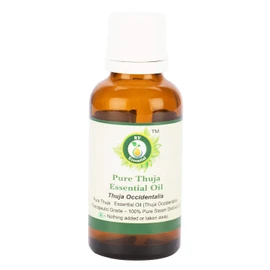 R V Essential Pure Thuja Essential Oil 50 ml (1.69 ounces) - Thuja Occidentalis (100% Pure and Natural Steam Distillated) Pure Thuja Essential Oil