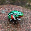 Superfreak Tin Toy Tin Frog 2