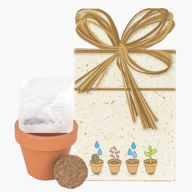 Iflo Pflanzset mit 5 Blumensorten, Anzuchttöpfe mit Erde und Samen,