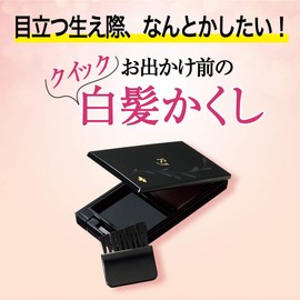 Yamada Beefield Quick Hair Foundation, Natural Black, 0.2 oz (6.5 g)