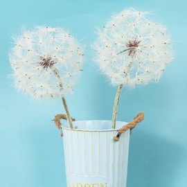 TOPIA Giant Artificial Dandelion Flower Faux Dandelion Flowers for Home (2 Pcs) (White, Flower Diameter 8 Inch)