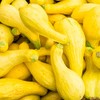 Crookneck Summer Squash Garden Seeds - 1 Lbs - Heirloom,