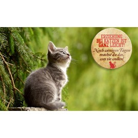 schilderkreis24 - Funny Cats Saying "Erziehung bei Katzen ist ganz leicht!" Magnet Decorative Fridge Magnet Humour Funny Gift Idea Cat Owners or Cats Fans 8 x 8 cm