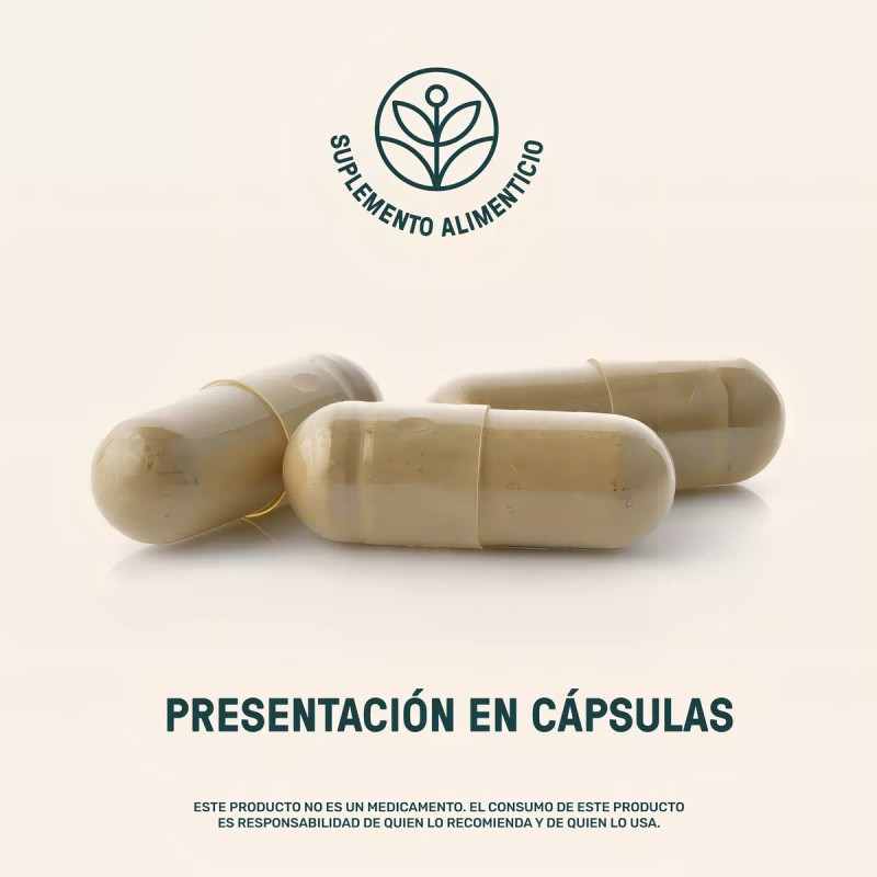 LIFE360+ Life 360+ Res-v Bote 220 Cápsulas Resveratrol Astaxantina No