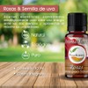 VIDA SCENTS | Aceite Esencial De 10ml 100% Puro Y