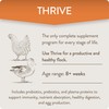 FLOCKLEADER FlockLeader Thrive, Daily Probiotic & Prebiotic Poultry Supplement for