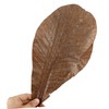 ABOOFAN 20pcs Dried Leaf Sushi Plating Mats Japanese Sashimi Decor