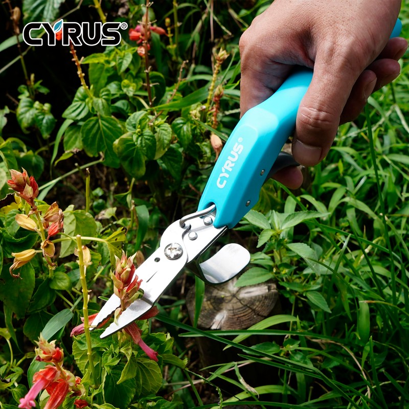 CYRUS Stainless Steel Weed Cutter for Garden, Hand Weeding Tool,