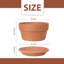 INGOFIN 8 Inch Terracotta Shallow Pots Set with Saucer - Ceramic Clay Pots with Drainage Hole, Terra Cotta Pots for Plants for Indoor Outdoor Plants, Set of 2