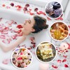 20 Bags Dried Flowers,100% Natural Dried Flowers Herbs Kit for
