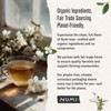 Numi Organic Tea Jasmine Green, 18 Count (Pack of 3)