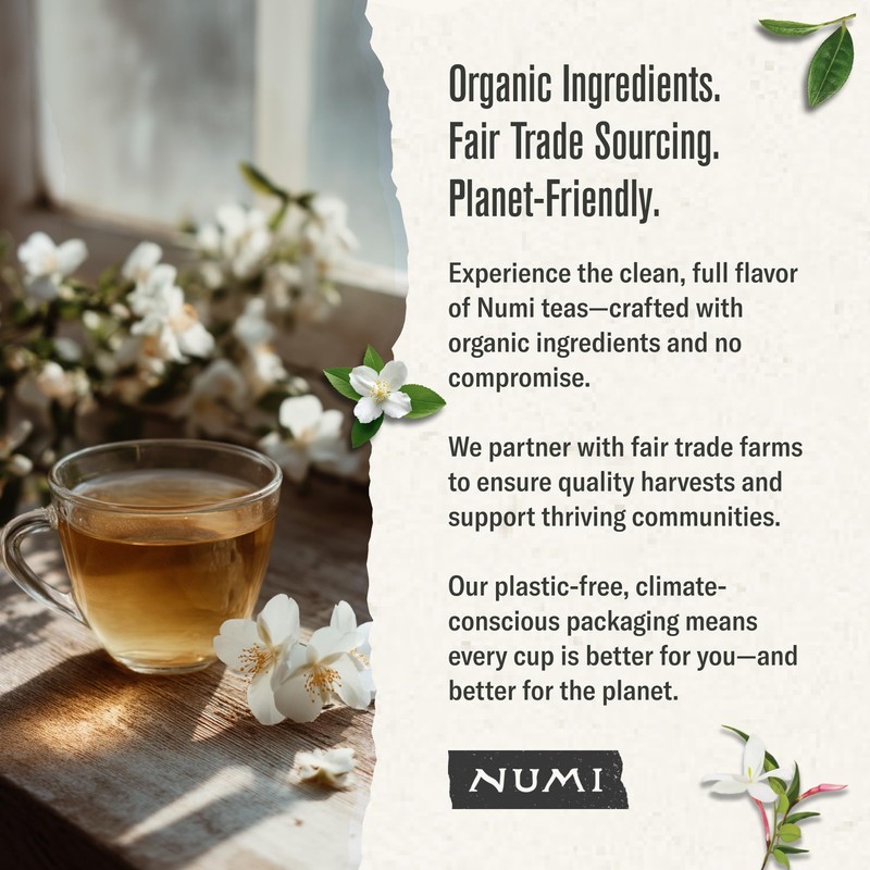 Numi Organic Tea Jasmine Green, 18 Count (Pack of 3)