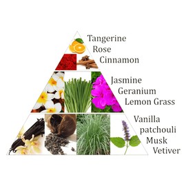 Yogabox Aromafume Chakra Incense Blocks, 2nd Chakra Sacral Chakra (Swadhisthana)