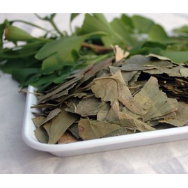 Naturix24 Ginkgo Leaf Tea, Ginkgo Leaves Whole - 250g Bag