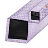 DiBanGu Silk Ties for Men Formal Plaid Check Necktie and