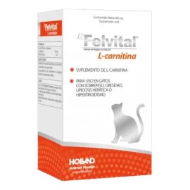 Felvital L Carnitina 80 Ml Holland (2 Pack)