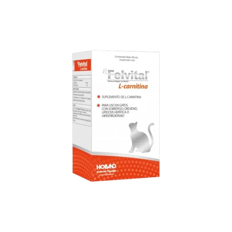 Felvital L Carnitina 80 Ml Holland (2 Pack)