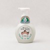 Aikkaekkeutae 아이깨끗해폼핸드솝 그린티향250ml I Clean Foam Hand Soap Green Tea