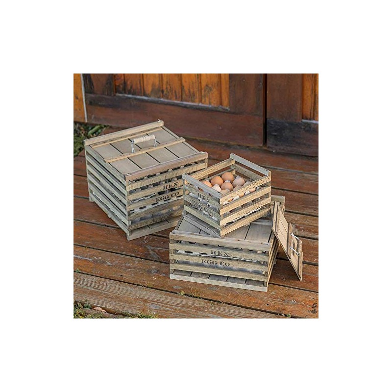 Pennell Rob L. Egg Storage Crate for Egg Transport or
