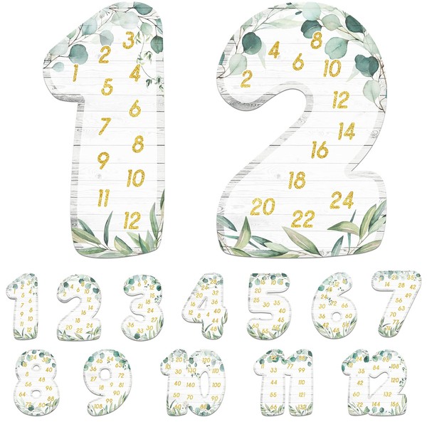 Ireer 12 Pcs Multiple Math Posters from 1 to 12