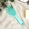 Yao Hairbrush [Scalp Care Round Aqua Sea] Wet Hair Shampoo
