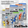 iCellTech Size 13 Hearing Aid Batteries (6 batteries)